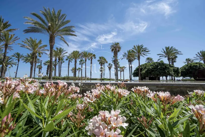 Zona de Salou – foto 6